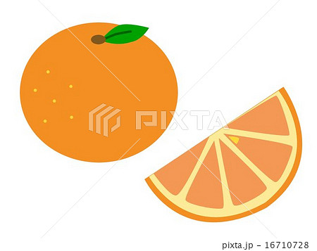 おれんじ 柑橘類 柑橘 蜜柑 ミカン 断面の写真素材