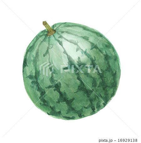 果実 果物 ウリ科 西瓜のイラスト素材