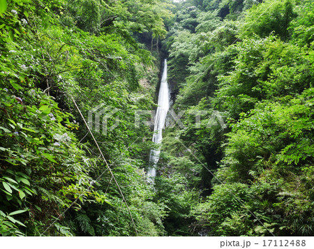 相模川源流の写真素材