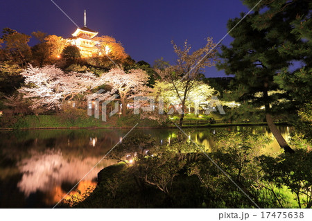 油絵 風景画 神奈川三渓園の枝垂桜【4月】P10 油絵 風景画 神奈川三渓園の枝垂桜【4月】P10 油絵 風景画 神奈川三渓