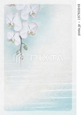 赤い蘭の花　水彩画　レランセナ 42087891-watercolor-