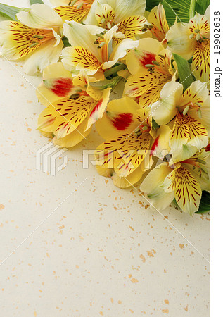 花 アルストメリア 花束 切り花の写真素材