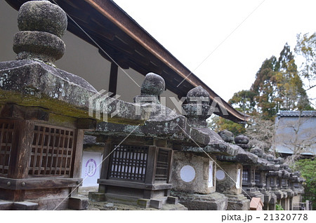 春日大社 春日さん 奈良観光 石灯篭の写真素材