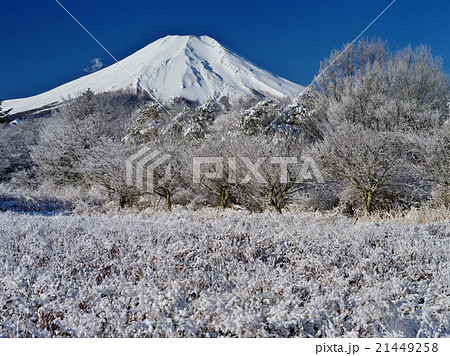 富士山 花の都公園 冬 雪景色の写真素材