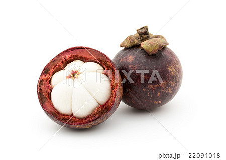 Mangosteen seamless pattern, png | PNGWing