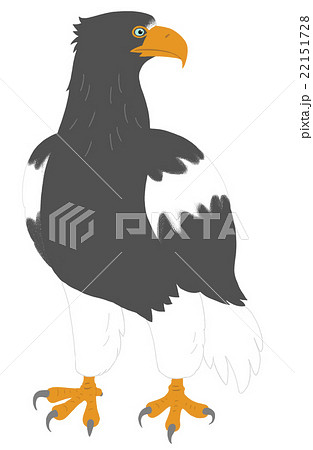 動物 鳥 絶滅危惧種 猛禽類のイラスト素材