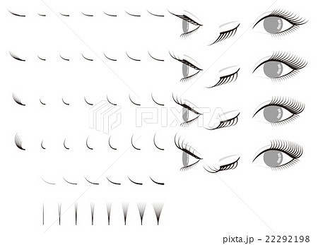 ベクター まつ毛 まつげ エクステのイラスト素材