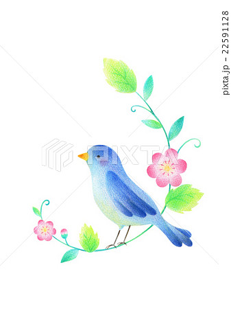 青い鳥のイラスト素材