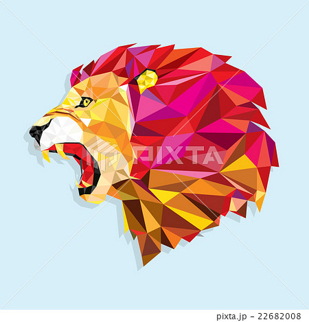 ライオン 面子 面 動物の写真素材