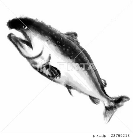 Amazon.co.jp: [サモエスキー] しょうゆ 醤油さし タレビン 魚型