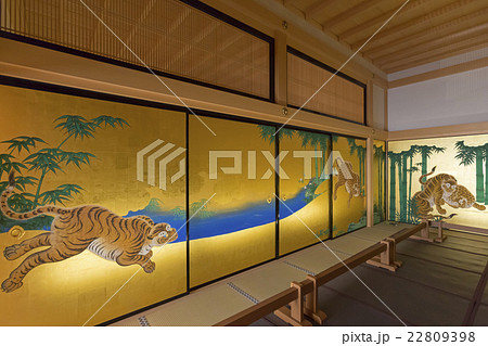 名古屋城本丸御殿障壁画 虎図 色紙 狩野派 （名古屋城本丸御殿
