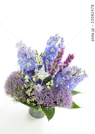 スターチス 花 複数 綺麗の写真素材