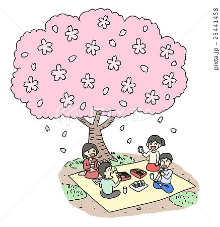 お花見 花見 春 桜のイラスト素材
