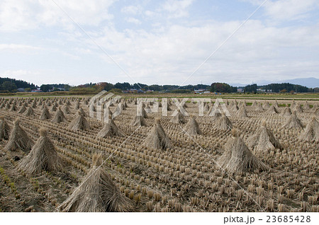 稲刈り後の写真素材 - PIXTA