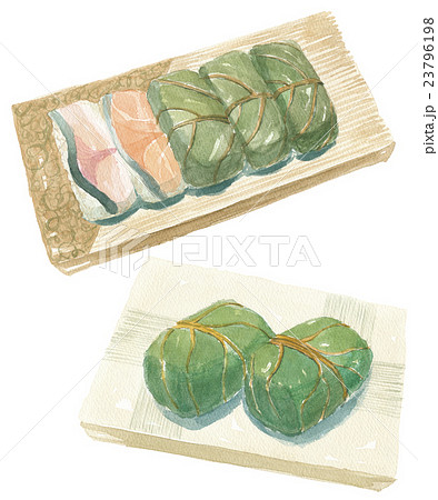柿の葉寿司のイラスト素材