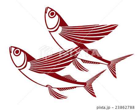トビウオ 飛魚 イラストのイラスト素材