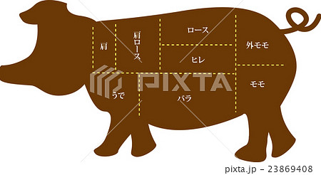 豚 豚肉 肉 部位のイラスト素材