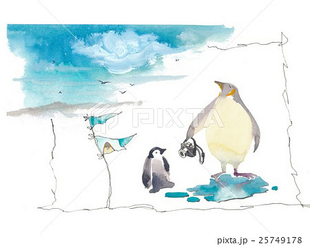 ペンギン 親子 水彩画 皇帝ペンギンのイラスト素材