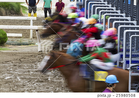 競馬 スタート スタートダッシュ ゲートの写真素材