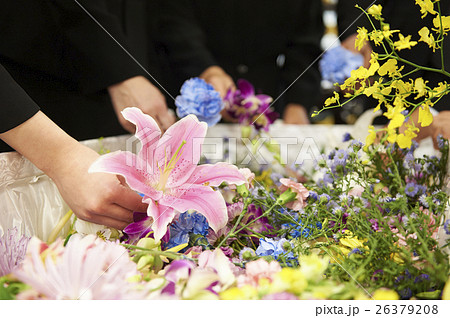 葬式 別れ花 お別れの儀 花の写真素材