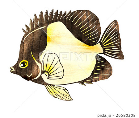 魚 観賞魚 熱帯魚 切り絵のイラスト素材
