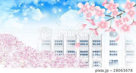 学校 桜 春 校舎のイラスト素材