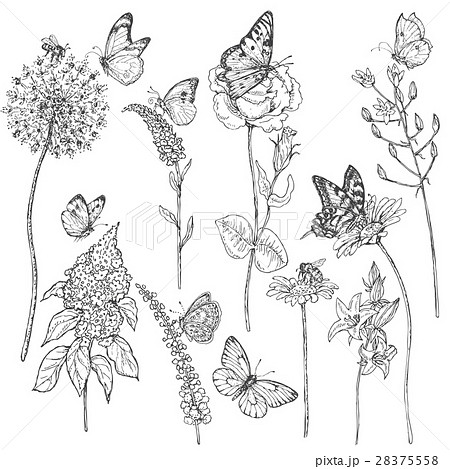 すべての美しい花の画像 トップ100 かっこいい 花 イラスト リアル 白黒