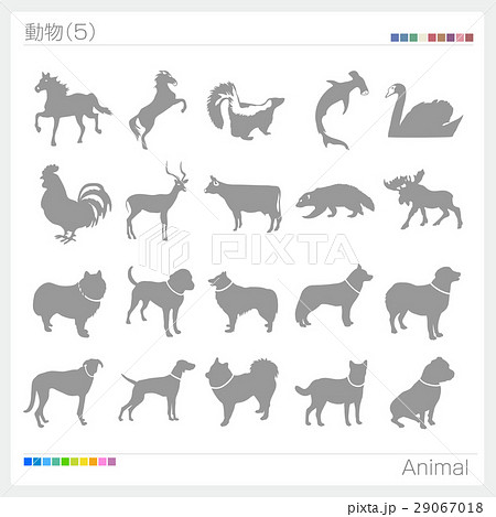 馬絵文字 馬の写真素材