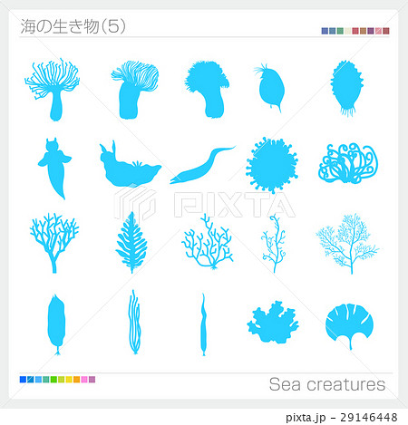 海の生き物のイラスト素材