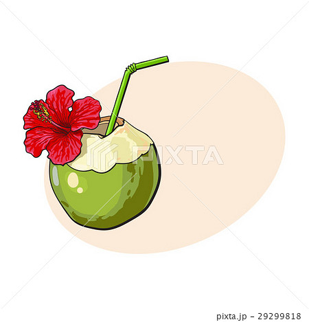 Coconut Cocktail Drink Decorated With Hibiscusのイラスト素材