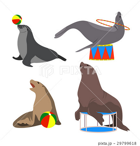 Circus Seals Vector Illustration Set Cartoonのイラスト素材