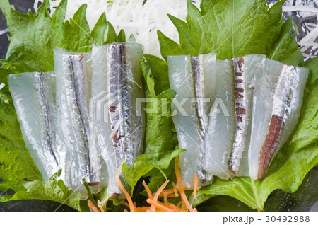 サヨリのお造り 春の魚 サヨリの刺身の写真素材