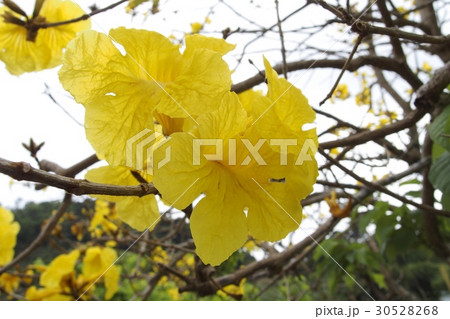 いっぺいの写真素材 いっぺいの写真素材