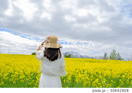 女の子 後姿 菜の花 麦わら帽子の写真素材