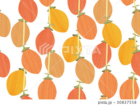 干し柿のイラスト素材