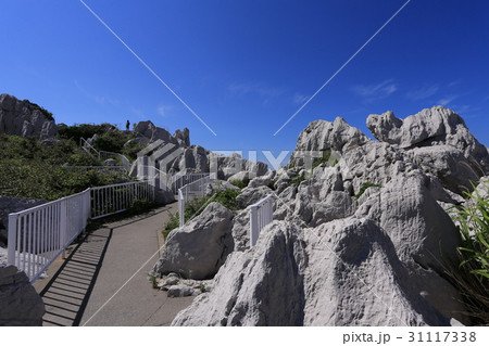 白い岩の写真素材