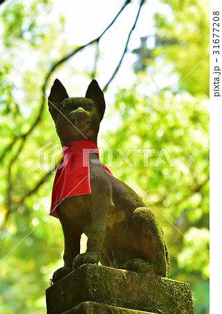 石仏 キツネ 稲荷 像の写真素材 - PIXTA