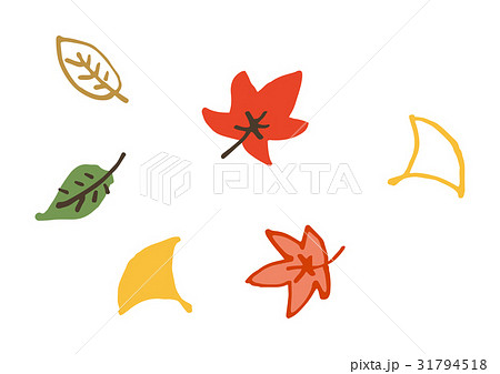 イチョウ もみじのイラスト素材