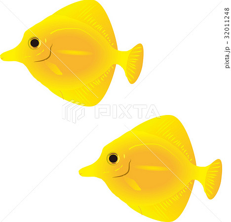 黄色剥 海水魚 熱帯魚 ベクターのイラスト素材