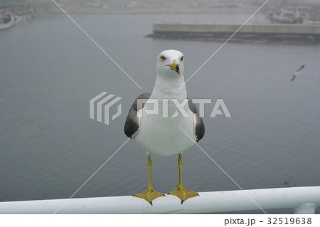 御積島の写真素材