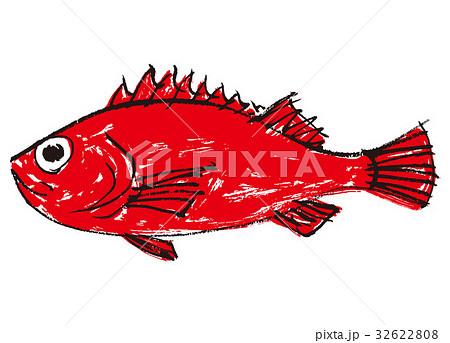 吉次 水彩画 きんき 魚のイラスト素材