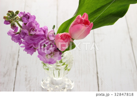 チューリップ ストック 花瓶 フラワーアレンジメントの写真素材