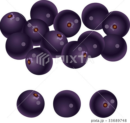 ワカバキャベツヤシのイラスト素材