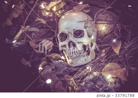 ドクロ 怖いの写真素材