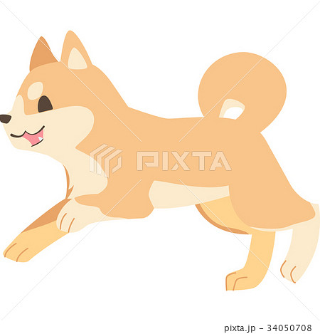 走る犬 柴犬 のイラスト素材 34050708 Pixta