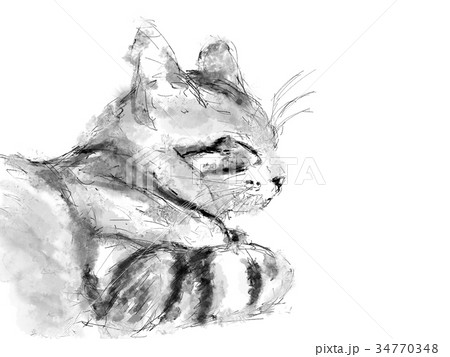 猫 イラスト スケッチ ペン画のイラスト素材