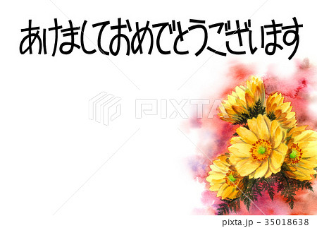 福寿草 花 和風 可愛いのイラスト素材