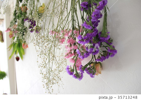 ドライフラワー 花 花束 カスミソウの写真素材