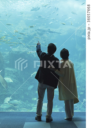デート シルエット 後ろ姿 恋人の写真素材