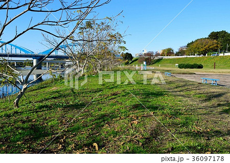 多摩川 河川敷 岸辺 土手の写真素材